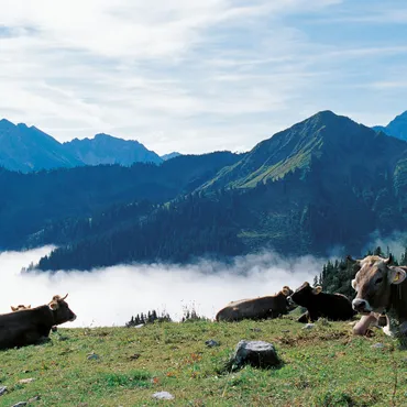 Sommerferien 2025 Sommerferien in den Allgäuer Alpen